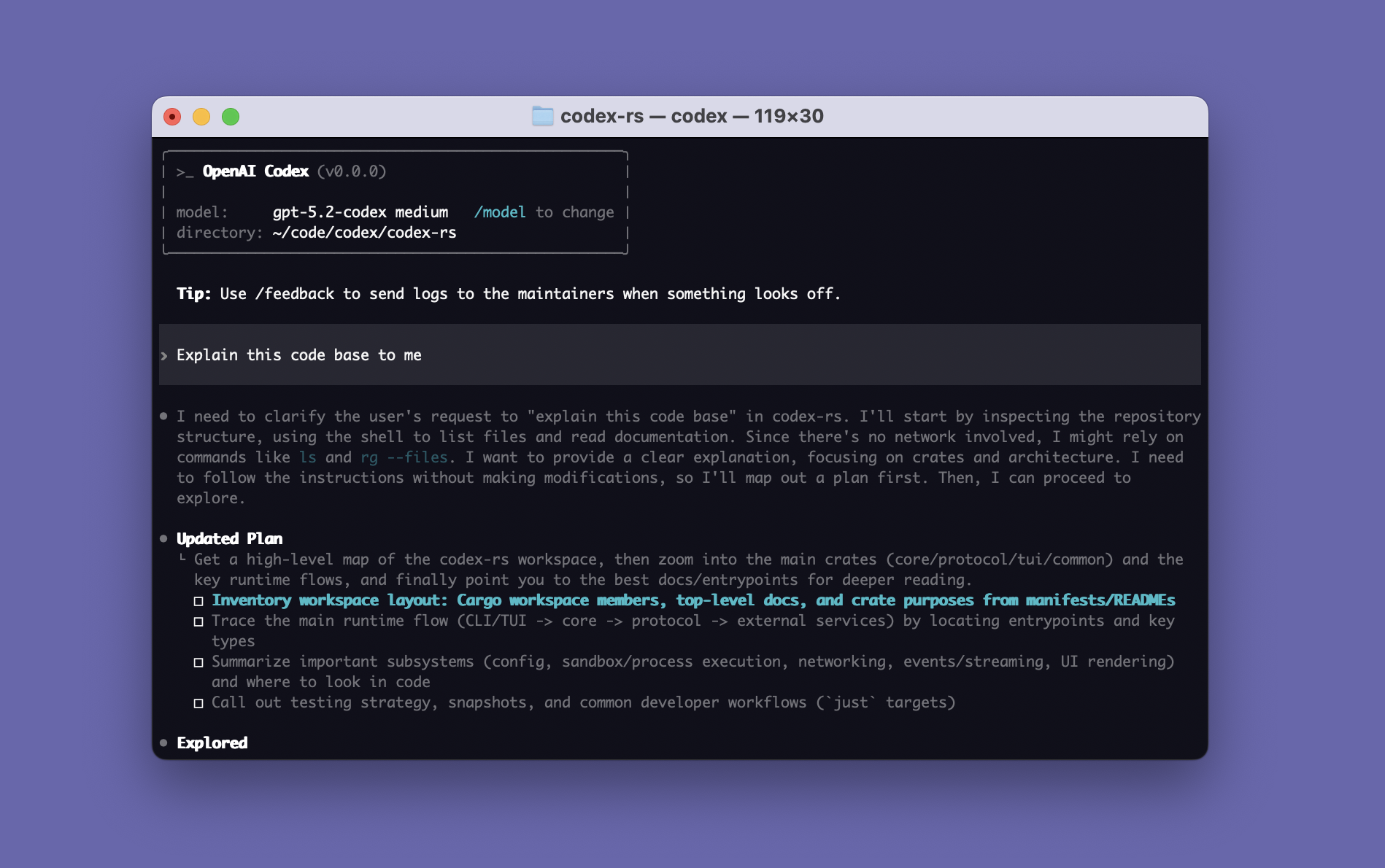 Codex CLI running in a terminal